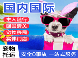 通辽航空空运国际宠物托运 【国